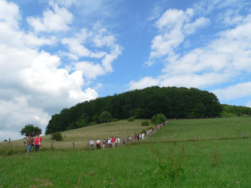 Landschaft Landschaft