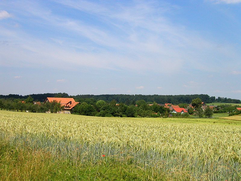 Blick auf Witzmannsweiler Blick auf Witzmannsweiler