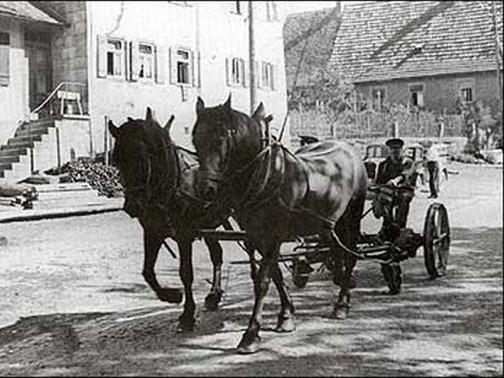 Schloßbauer mit Mähmaschine auf der Haller Straße um 1950